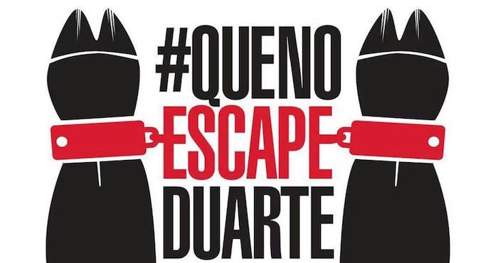 Javier Duarte necesita tiempo para poder “limpiar” su nombre y honor, así como por el “amor” que le tiene a Veracruz. Foto: Especial