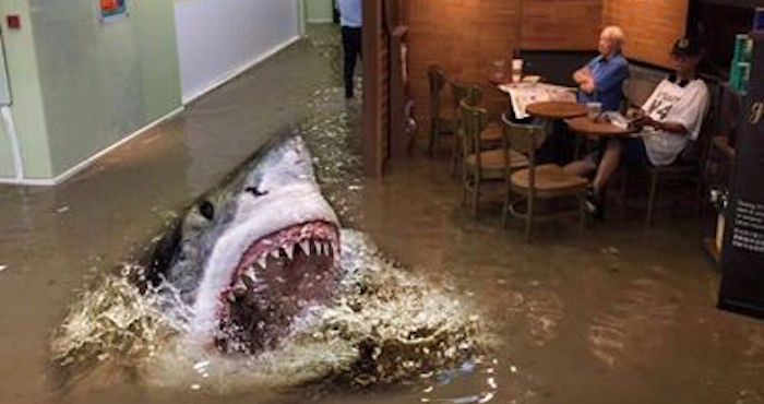 14718668_1707218162932167_4104779179535798517_n