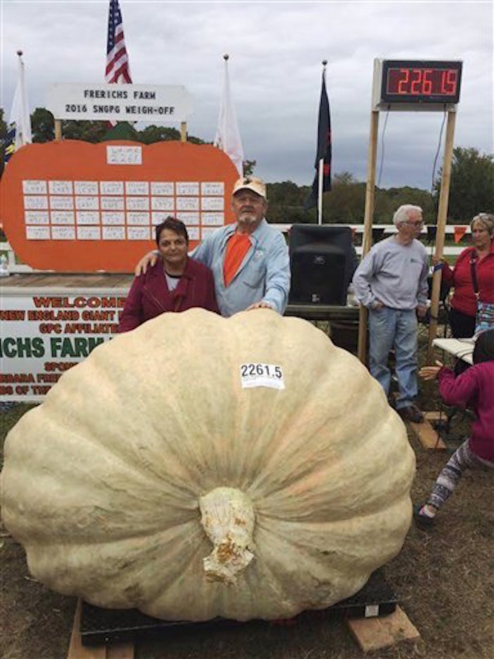 Calabaza gigante. Foto: AP/Ron Wallace.