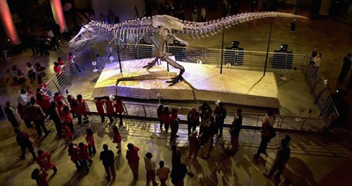 Sue, el esqueleto más grande y completo de un Tiranosaurio Rex jamás encontrado. Foto: AP