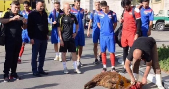Algunos integrantes del seleccionado iraquí decidieron sacrificar una oveja previo a un entrenamiento para alejar la mala suerte y enderezar el camino que los lleve al Mundial. Foto: Especial