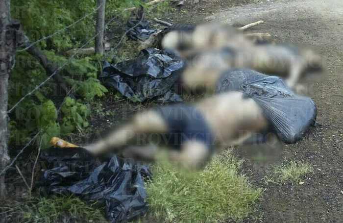 Los hombres fueron enconrtrados cerca de la comunidad de Los Plátanos.