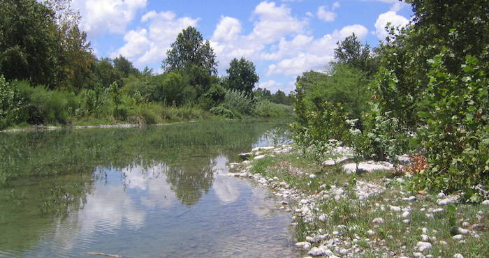 El tribunal responsabilizó a la Conagua y la Procuraduría Federal de Protección al Ambiente por la negligencia y falta de vigilancia que llevó al grave deterioro ecológico en el río San Rodrigo. Foto: Vanguardia
