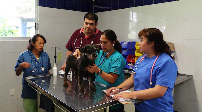 La Brigada de rescate lleva once años funcionando en la capital del país. Foto: Alejandro Gaspar, SinEmbargo