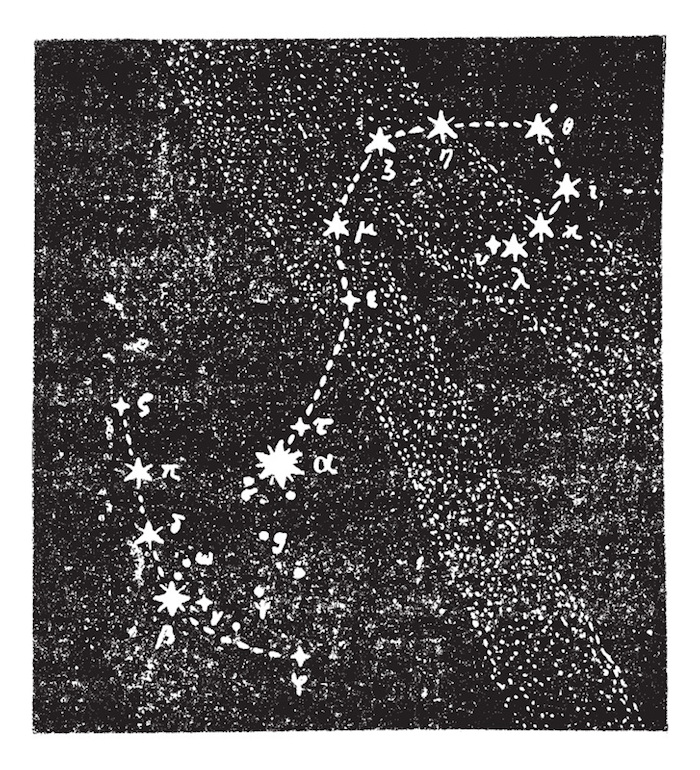 La constelación de escorpión. Foto: Shutterstuck.