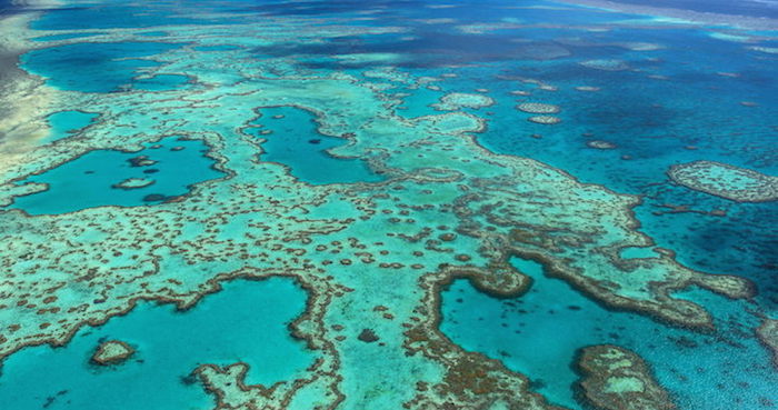 Fotografía facilitada por la Autoridad del Parque Marino de la Gran Barrera de Coral, de una vista aérea del parque. La Gran Barrera de Coral. Foto: EFE