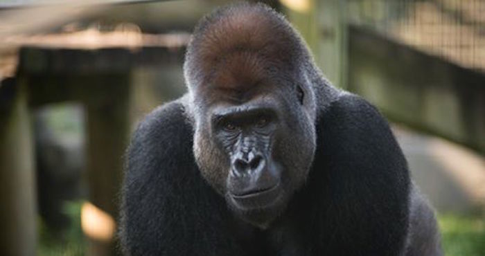 14980619_10154127837507106_3823319145877860475_n