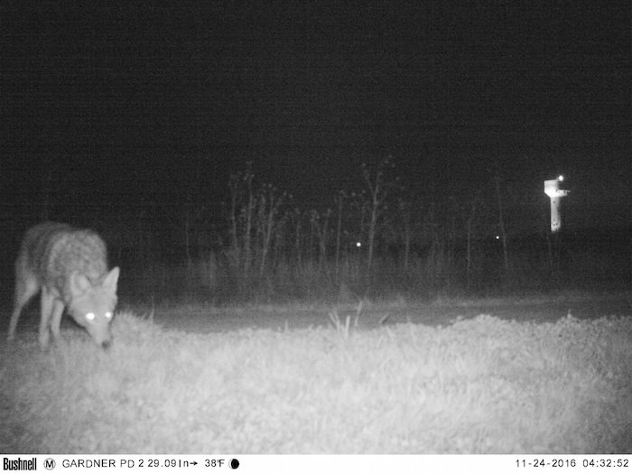 15235909_1165814183516648_2931563407808154774_o