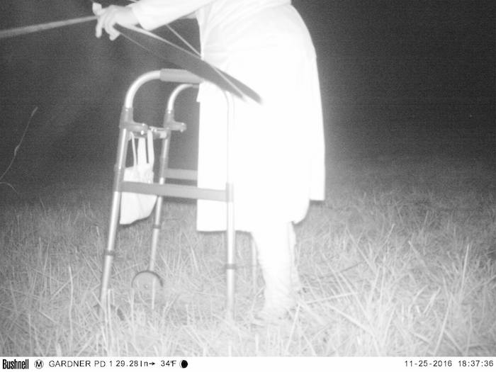 15250868_1165814270183306_5215381589499848504_o