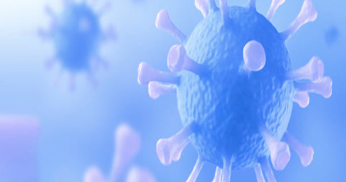 Foto: Ilustrativa Conacyt