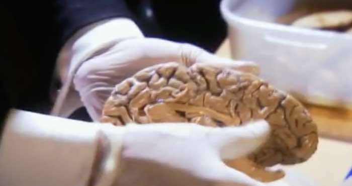 La teoría del psicólogo norteamericano Julian Jaynes (1920-1997) sugería una "ruptura" de la mente, es decir, una asimetría interhemisférica que para Jaynes suponía la preexistencia de dos cerebros en vez de uno. Foto: Especial.