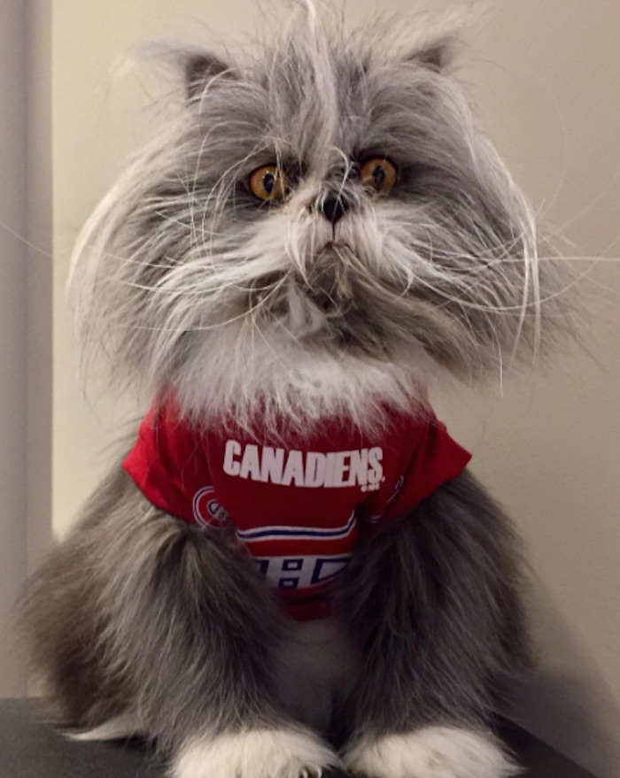 Foto: Instagram @atchoumfan