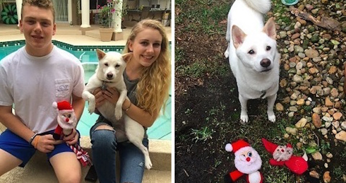 grid_cell_23625_1479936610_9