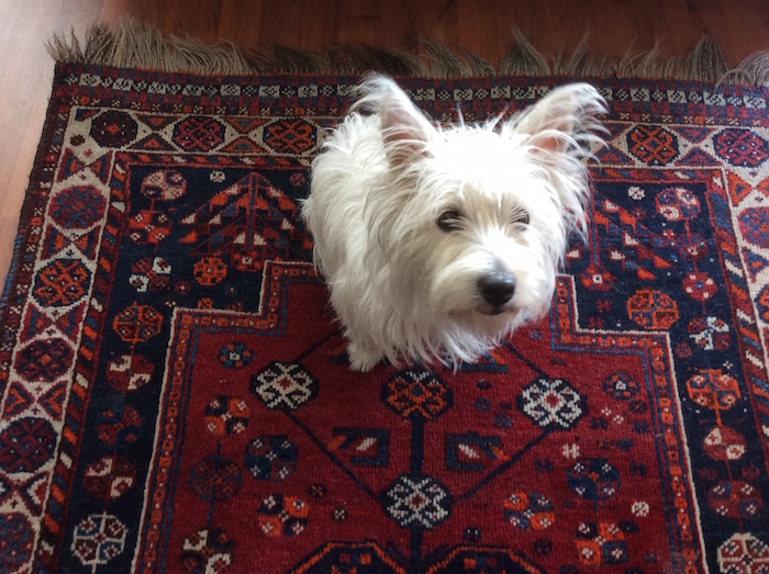 Una es el paraíso recobrado y la otra el paraíso todavía no perdido. Foto: Especial