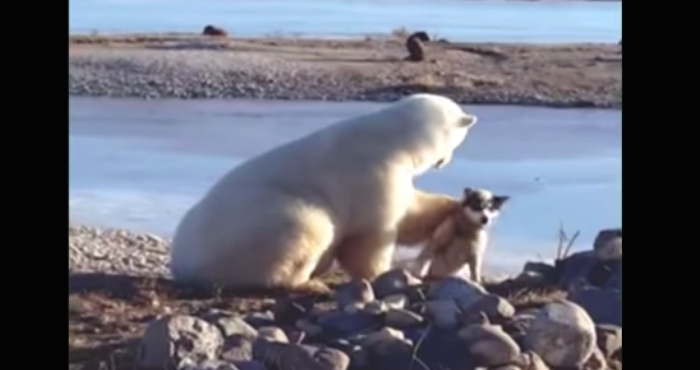 Foto: Captura de pantalla.