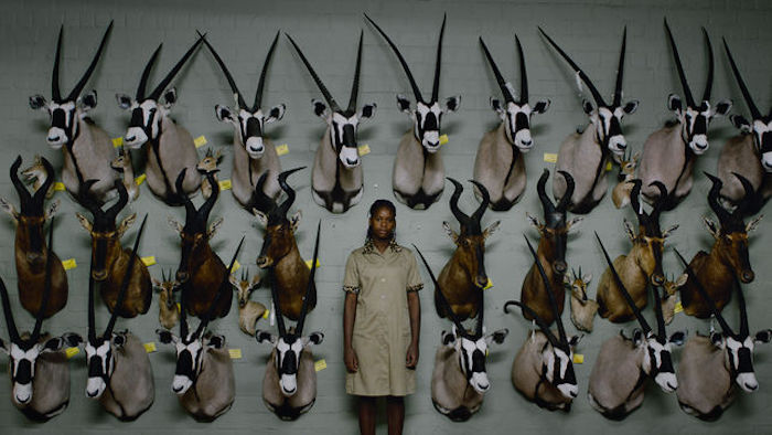 Safari. Ulrich Seidl. Foto: eldiario.es