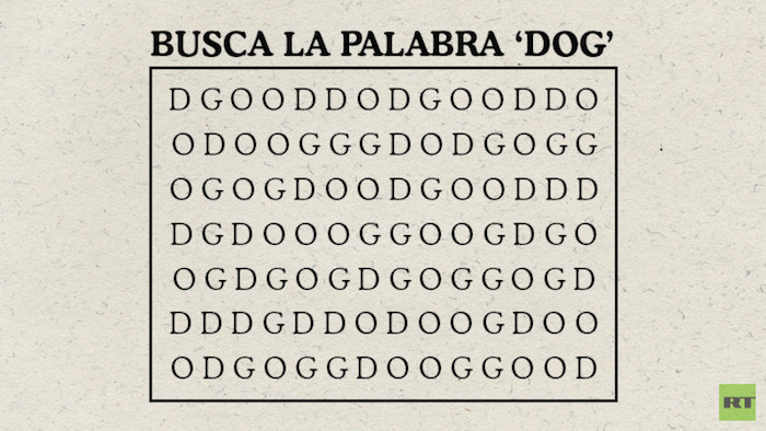 585efd36c36188a36c8b45fb