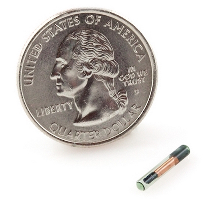 biohacking_transhumanismo_9