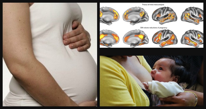 Foto: Nature Neuroscience/ Cuartoscuro