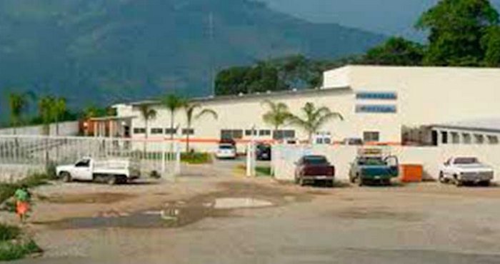 La mujer murió por una hemorragia. Foto: Pulso