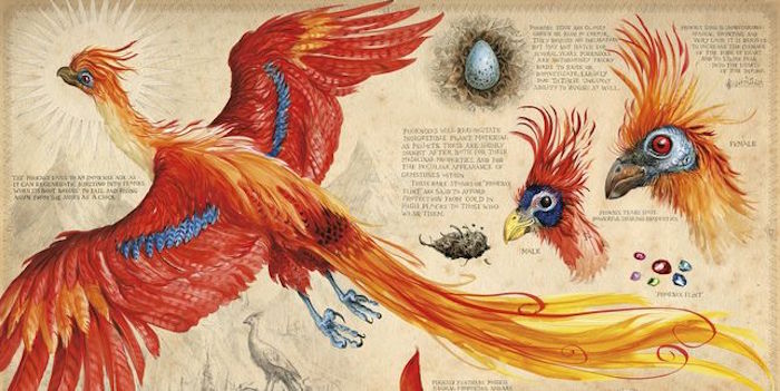 illustrations-kay-bloomsbury-publishing-plc_ediima20161214_0873_19