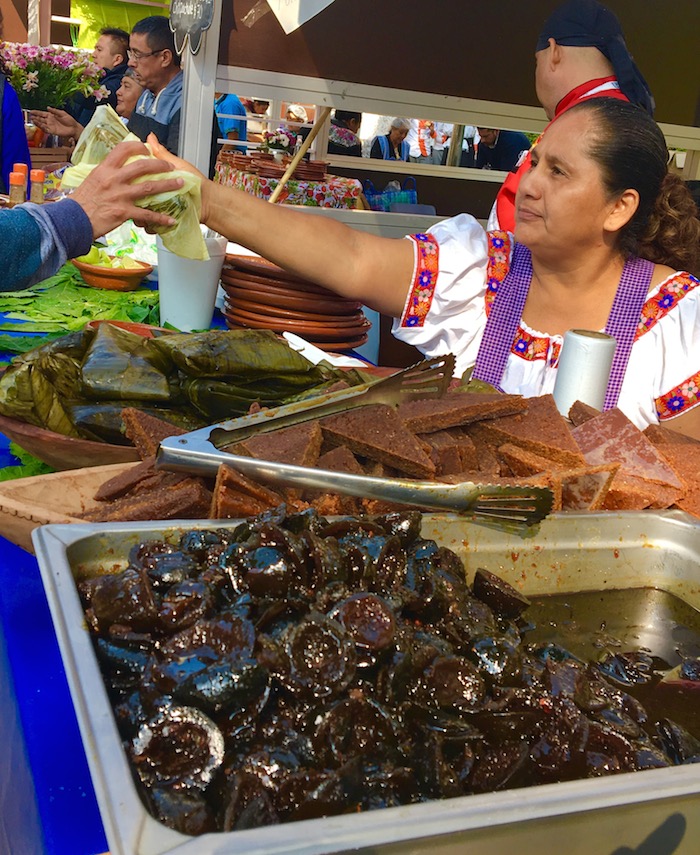 Tabasco representado por la región de Chontalpa. Foto: Daniela Medina, SinEmbargo