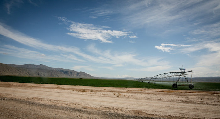 Foto: Roberto Armocida, Vnaguardia