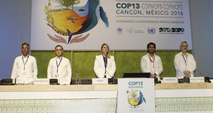  a pesar de una lista de acuerdos y decretos anunciados por el gobierno mexicano a lo largo de esta COP13, nuestro país dista mucho de coadyuvar al cumplimiento de varias metas de Aichi para el 2020. Foto: Cuartoscuro