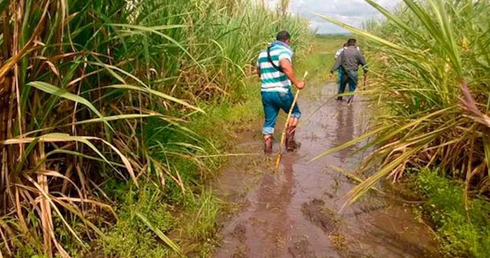Ayer, la organización anunció que se remprenderá la búsqueda. Foto: Pulso