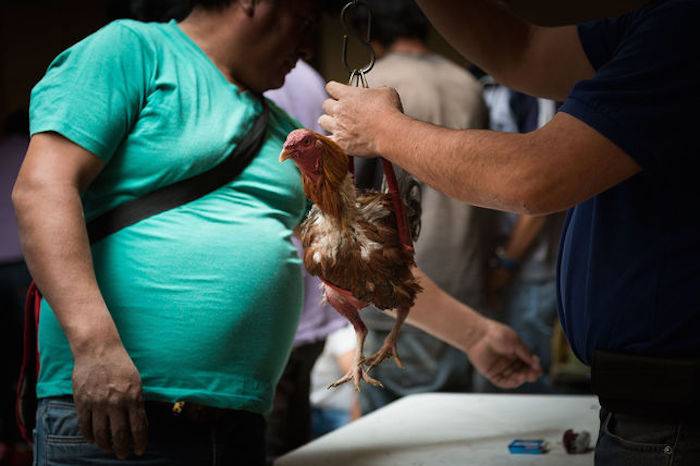 Foto: Colectivo Britches.