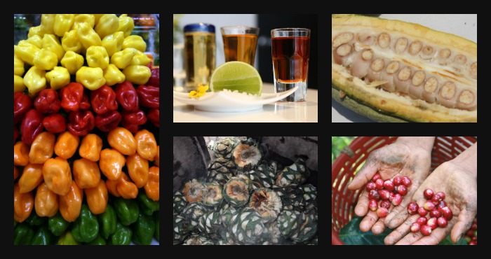 Foto: Collage especial: Sandra Sánchez, Conacyt, Cuartoscuro