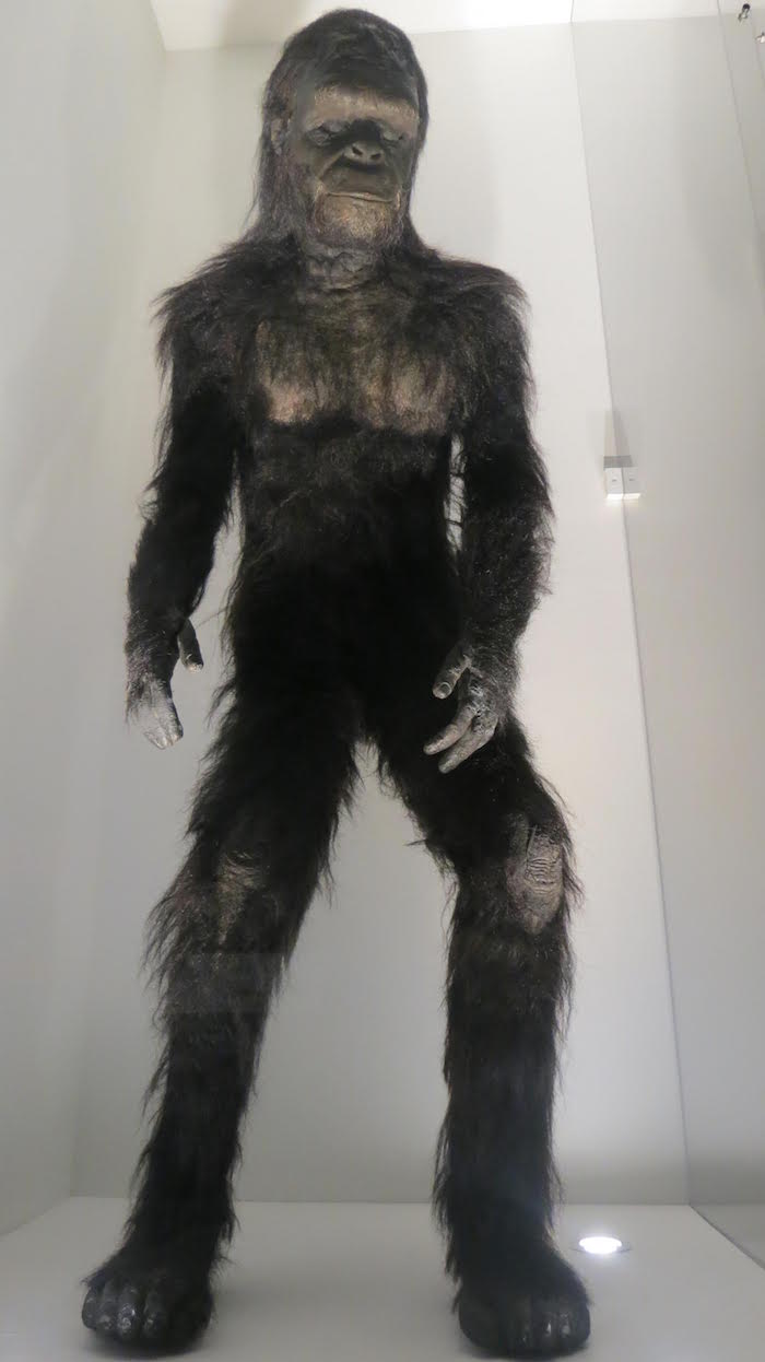 Los largometrajes merecieron recrear las atmósferas de cada género explorado por Kubrick: cine negro, bélico, ciencia ficción, drama de época, terror. Foto: Cortesía Cineteca Nacional.