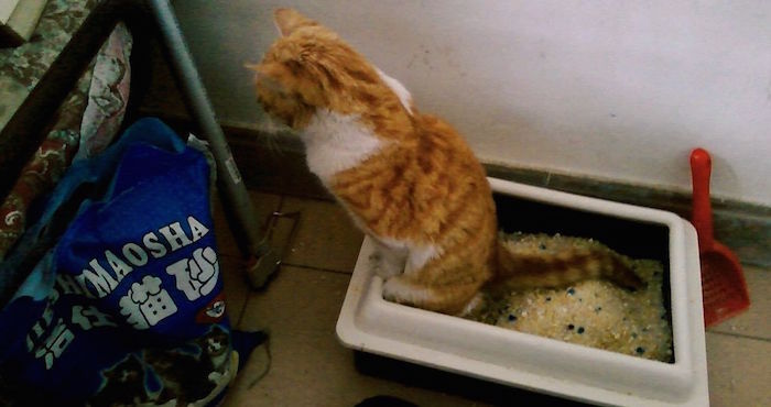 Imagen ilustrativa. Foto: Especial