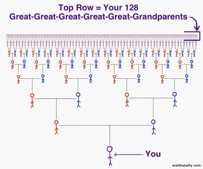 1484295027_463600_1484295776_sumario_normal
