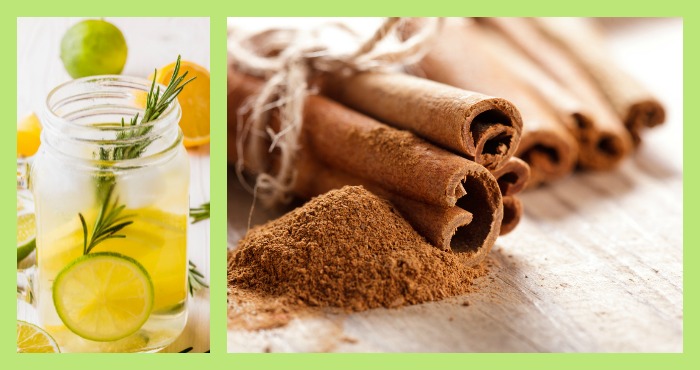 Foto: Especial / Shutterstock