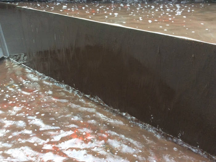 Observando la naturaleza encontramos, precisamente en la naturaleza, la combinación de elementos que resuelven cualquier problema; sí, eso ocurre. La pregunta es ¿por qué llegamos a creer que aquí mismo está el remedio y sólo hace falta buscarlo? Foto: Especial