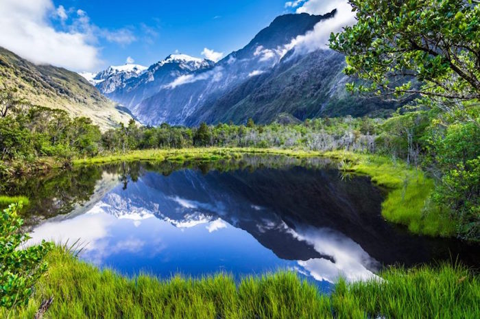 Foto: Especial Shutterstock