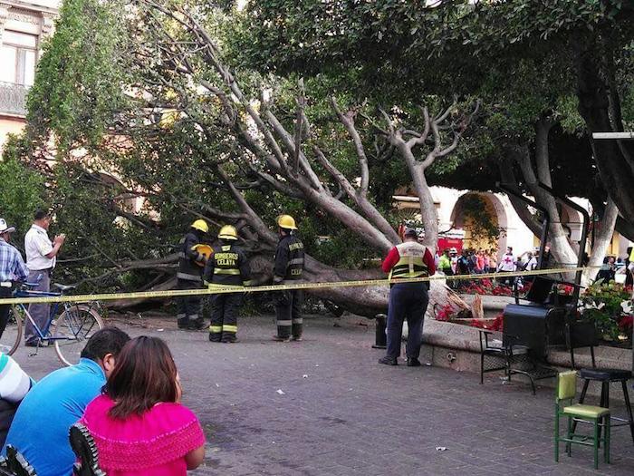 photo_2017-01-01_20-37-28