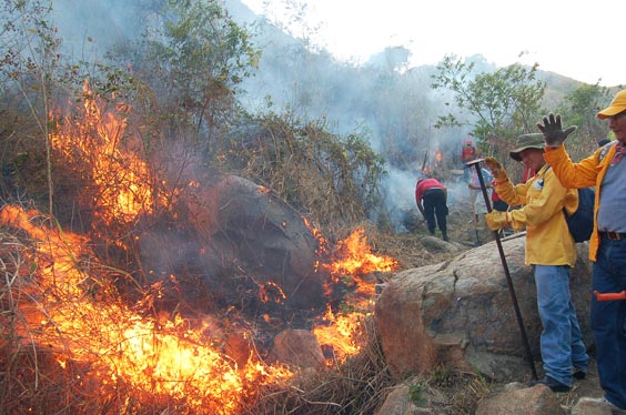 Resultado de imagen para mexico incendios forestales