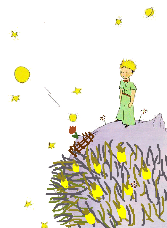 MICROHISTORIAS: LA VERDADERA ROSA DEL PRINCIPITO 