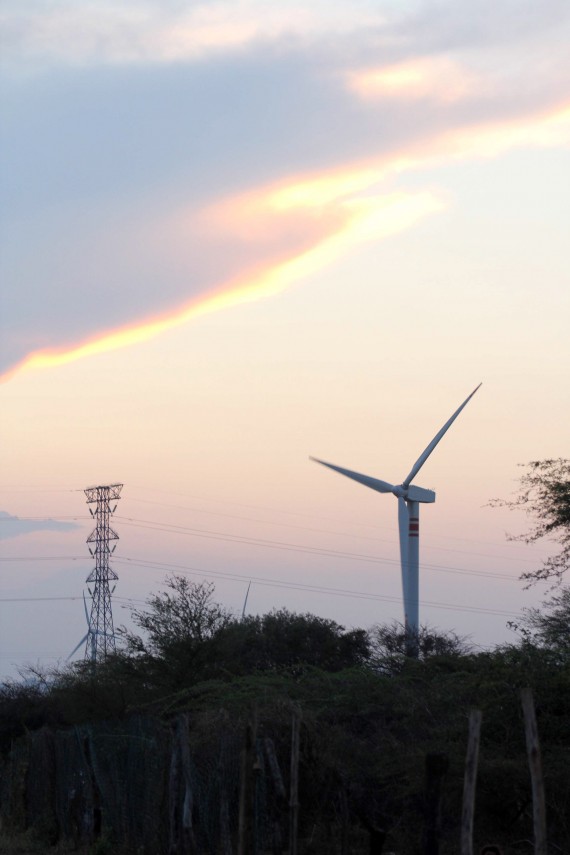 Oaxaca es uno de los estados con mayor explotación de energías renovables. Foto: Cuartoscuro