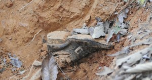 Y LA GUERRA CONTINÚA: EL SALDO DEL HORROR