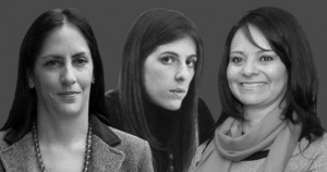 PERFILES DE PAJA PARA PROBLEMAS DE FUEGO