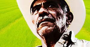 INDÍGENAS: CÓMO PERDER LA TIERRA “LEGALMENTE”