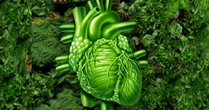 5 DIETAS EFECTIVAS, PERO NO RECOMENDABLES