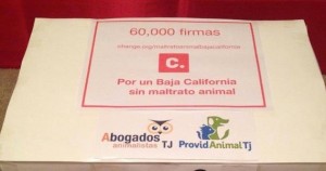 Más de 60 mil ciudadanos exigen al gobierno de Baja California que se castigue con cárcel el maltrato animal