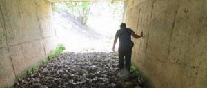 Criminales llevan a Tabasco cuerpos de veracruzanos; Solalinde: se ocultan fosas