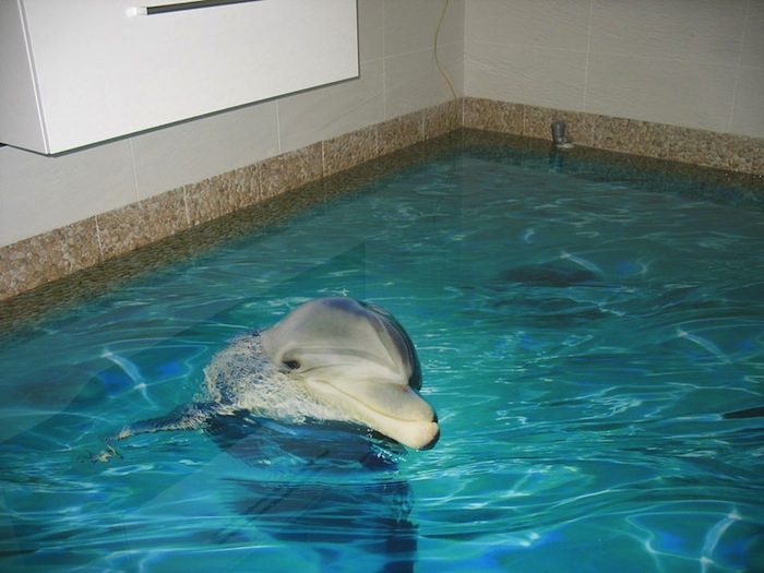 Empresa en Dubai imprime pisos en 3D