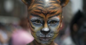 Científicos explican por qué los animales deben ser considerados individuos con derechos