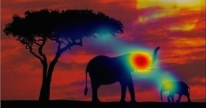 Autismo. Foto: Qi Zhao, Universidad Nacional de Singapur